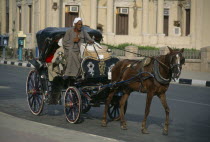 Caleche horse drawn carriage on city road.