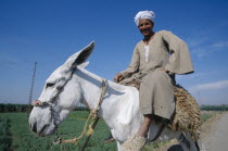 Cropped view of man riding donkey.