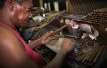 Man rolling cigars at a factory