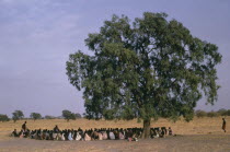 Shilluk tribespeople gathered under a tree in the shade for story telling