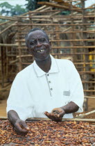 Worker drying cocoa beans in the sun