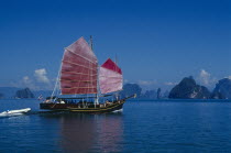 Tourist excursion on Chinese Junk with pink sails reflected in deep blue water.