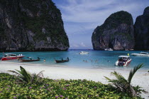 Maya Bay.  View over purple flowers towards white sand beach overlooked by limestone rock formations.  Line of long tail and tourist boats and people swimming.