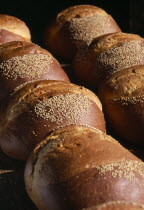 Close view of loaves of bread with sesame seeds scattered over crust.