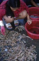 Woman sorting catch of prawns into red baskets.