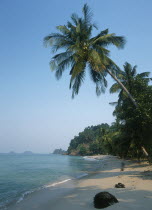 Lonley Beach  Aow Bai Lan. View along the sandy bay with overhanging palm tree and small islands in the distance.