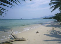 Kai Bae Beach view along sandy beach and coast framed by palm leaves.