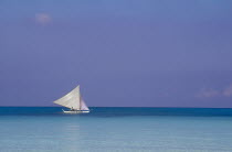 Sailboat offshore in clear water