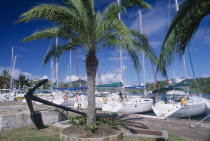 Nelsons Dockyard.  yachts moored against quay with palm tree and anchor displayed in the foreground.