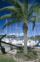 Nelsons Dockyard.  yachts moored against quay with palm tree and anchor displayed in the foreground.