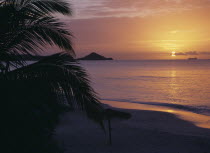 View towards bay over empty sandy beach with thatched umbrellas at sunset with orange sky reflected in the water.  Palm fronds in the foreground.