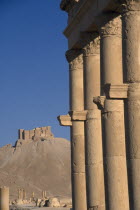 View along colonnaded street with consoles projecting from each column and the Arab Castle or Qalaat Ibn Maan on the hilltop behind.  PalmyraPalmyra