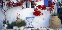 Detail of white painted wall with blue doorway  shutters and window frames and trees growing from tubs outside with red blossom.
