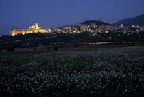 Evening view across field of white flowers towards lights of Assisi.European Italia Italian Southern Europe Warm Light