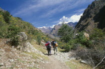 Treckers with backpacks walking up a narrow mountain path.  Cuzco