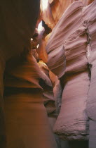 Pink and golden coloured smoothly erroded canyon walls.