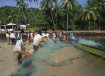 Fishermen work on the beach emptying net of fish