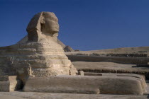 The Sphinx restored with Pyramids and tourists on camels in the background