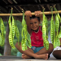 Seated smiling small boy in red T-shirt holding a pole with hanging green beans or seedpods