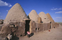 Beehive mud houses