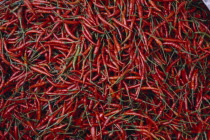 Red chilli peppers drying