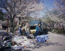 Maruyama Park rubbish collection during Cherry Blossom season