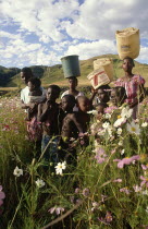 Group of children carrying tubs for water on their heads in field of flowers