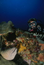 Diver in the Indian Ocean off Mozambique by coral reef with a honeycomb moray eel  Gymnothorax favagineus  appearing out of a hole