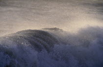 Spray topped waves crashing onto Hastings beach