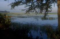 View across lake from the reeded shore