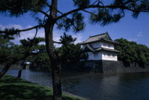 Imperial Palace seen across the moat with pine trees in the foreground