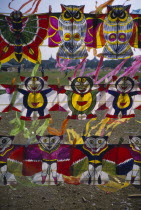 Kites for sale