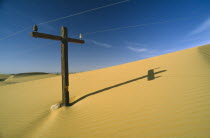 Telegraph pole almost covered by sand dune