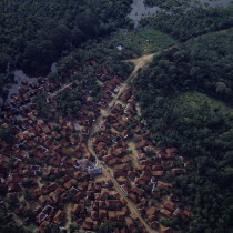 Aerial view of village central mosque wetlands & secondary jungle. Radial development of town