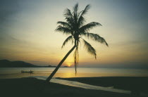 Big Buddha beach at sunset with fishing boat going past single coconut palm tree