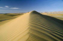 Ridge of sand dune