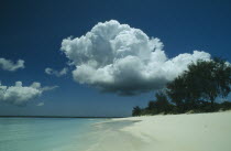 Beach with large cloud overhead