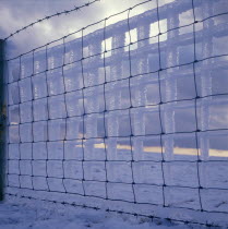 Wire fence with ice attached and reflecting the shape of the wire