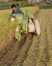 Man harvesting rice by machine