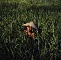 Smiing boy wearing a conical hat in a ricefield near Makaram