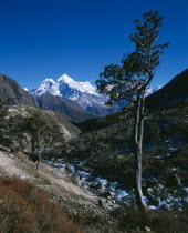 Himalayan mountains.  Valley with stream and trees and snow covered peaks beyond.