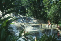 Dunns River Falls through trees with tourists walking in the pools