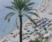 Nice Beach from above with a palm tree  sunbathers under blue umbrellas on a shingle beach
