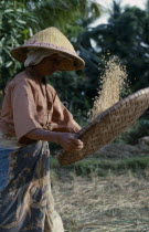Woman sifting rice in large round shallow basket