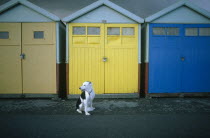 Black and white dog sitting in front of beach huts on the seafront