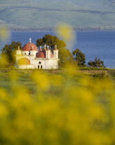 Greek Orthodox Monastery with lake behind and yellow flowers in immediate foreground.