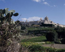 View past prickly pears over fields to the fortified hilltown and cathedral
