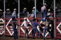Cowboys by the stalls of the Days Of 76 rodeo arena waiting to release a rider on a bull