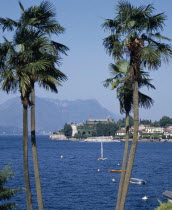 View through to palms on Stresa waterfront across the lake towards Isola Bella Island