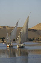 Three feluccas on the River Nile carrying tourists